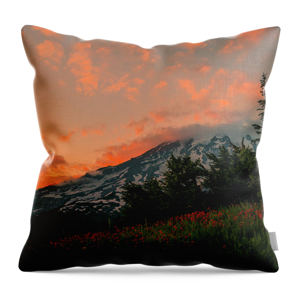 Indian Paintbrush Throw Pillow featuring the photograph Indian Summer by Ryan Manuel