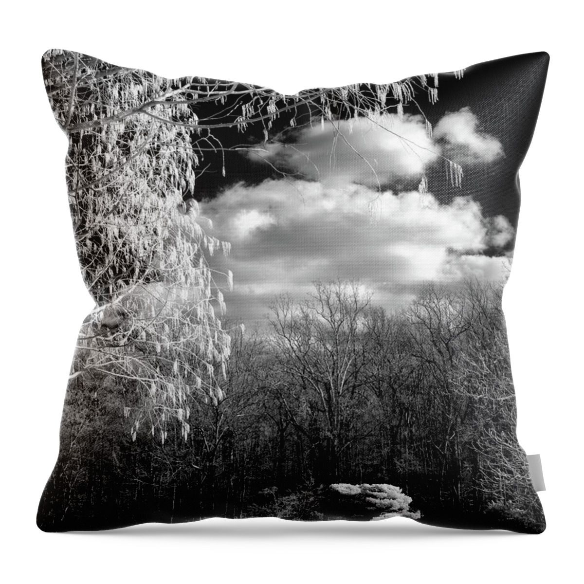 Bnw Throw Pillow featuring the photograph Infrared in the park by Izet Kapetanovic