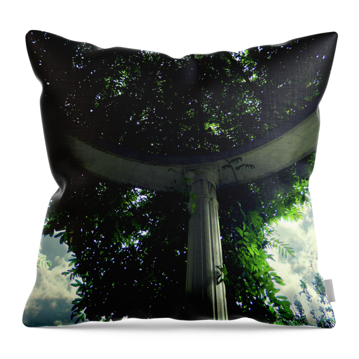 Inside The Arb Throw Pillow featuring the photograph Inside The Arb 3 by Cyryn Fyrcyd