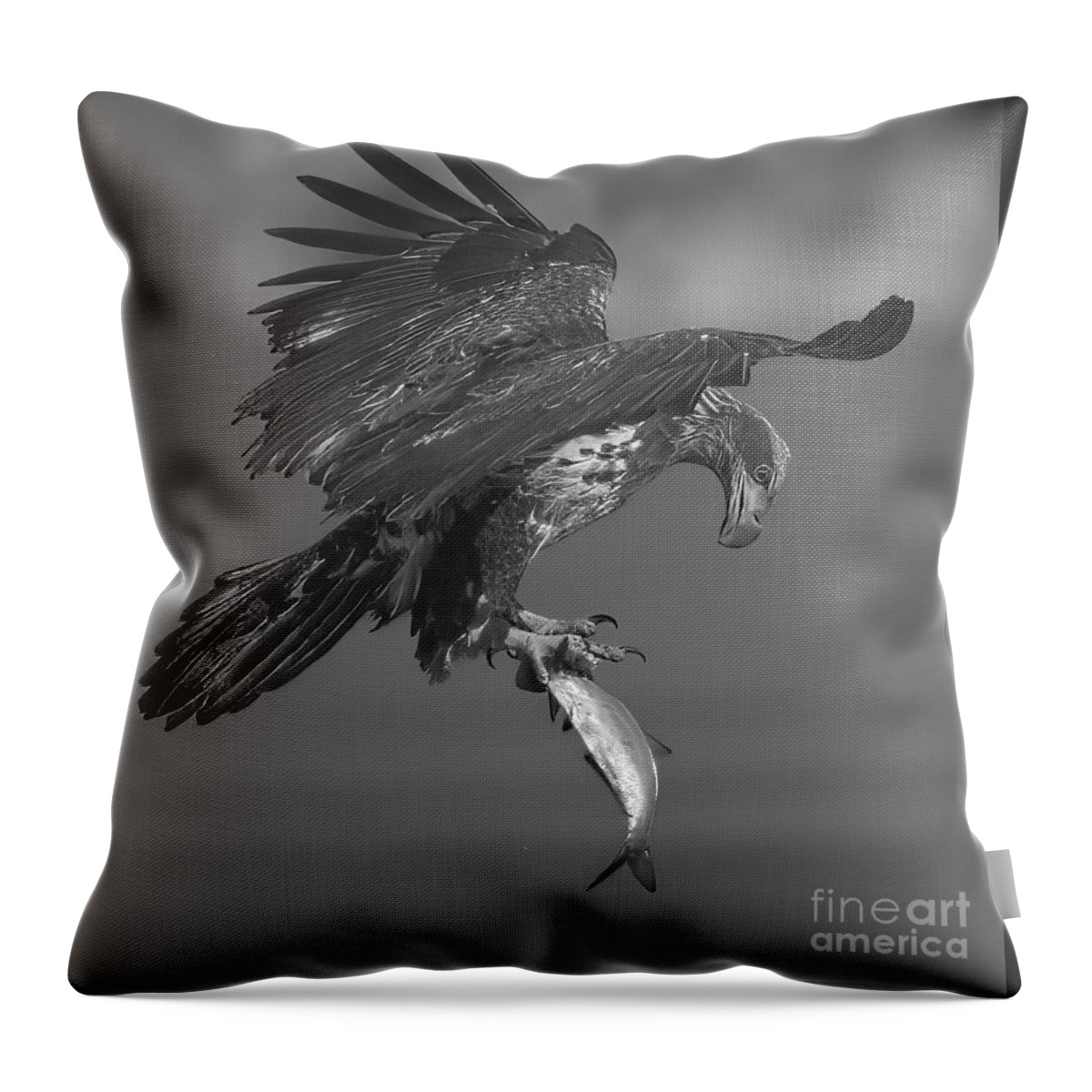 Eagle Throw Pillow featuring the photograph Inspecting My Catch Black And White by Adam Jewell