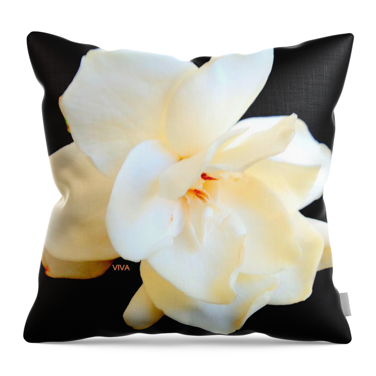 Gardenia Throw Pillow featuring the photograph Intimacy - Valentine Art by VIVA Anderson