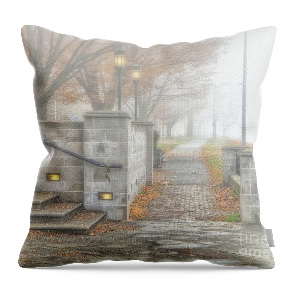Fog Throw Pillow featuring the photograph Into The Fog by Geoff Crego