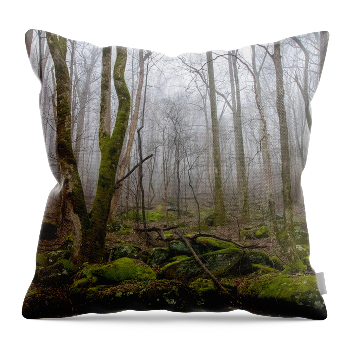 Landscape Throw Pillow featuring the photograph Into the Foggy Forest by Jamie Tyler