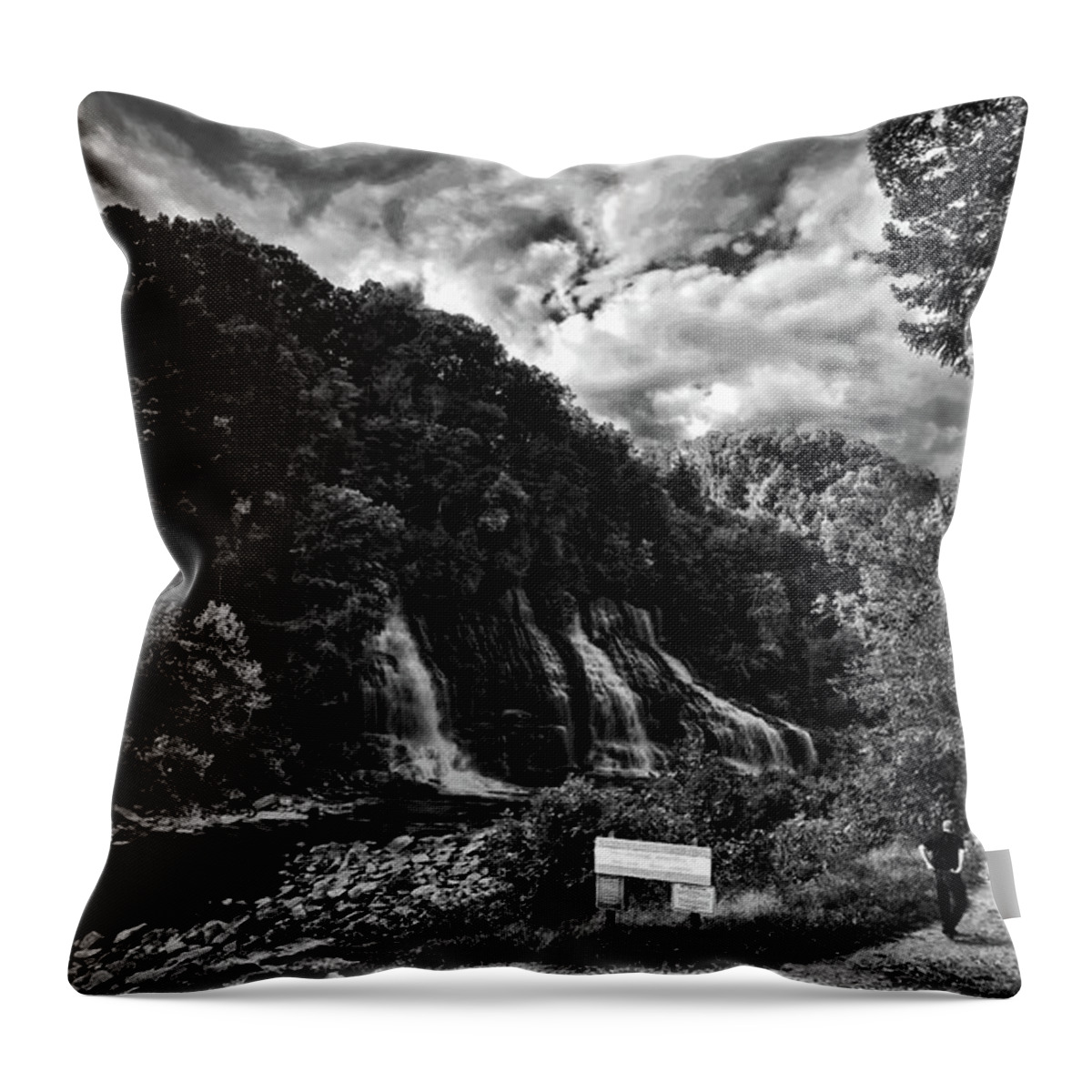 Falls Throw Pillow featuring the photograph Into the Gorge by George Taylor