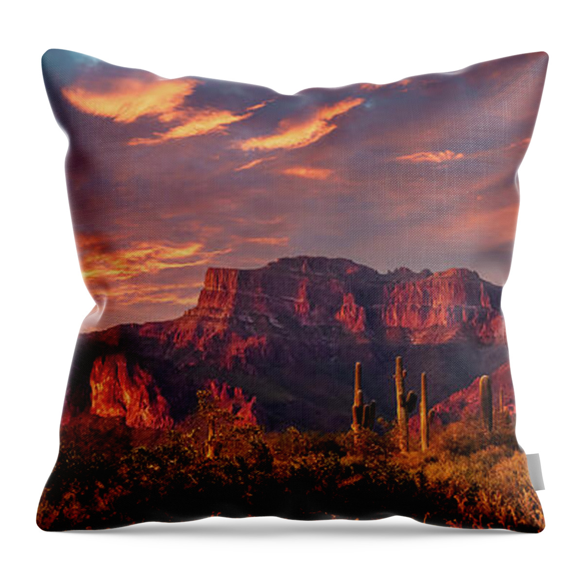 Arizona Throw Pillow featuring the photograph Into the West by Rick Furmanek