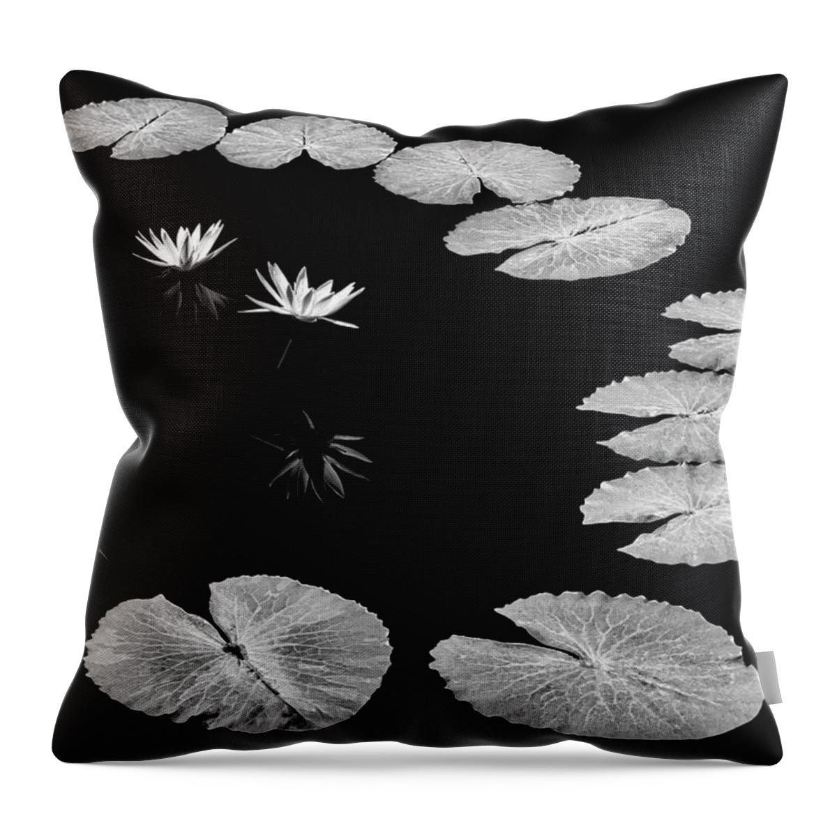 Water Lilies Throw Pillow featuring the photograph Invisible Connection by Elvira Peretsman