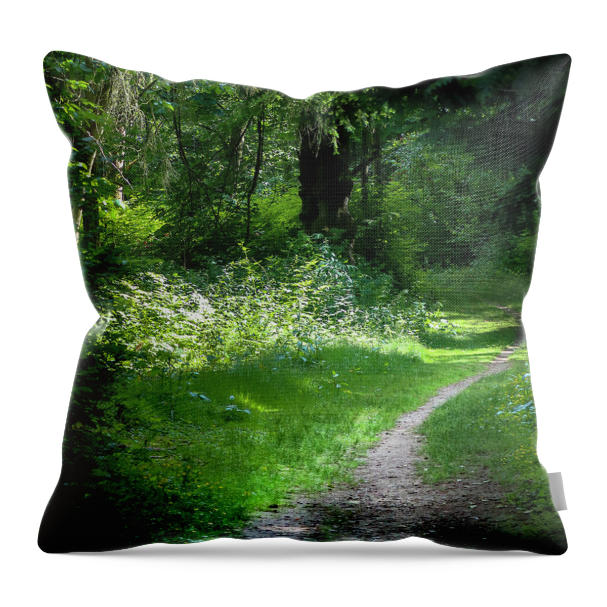 Hiking Throw Pillow featuring the photograph Invitation Path by D Lee