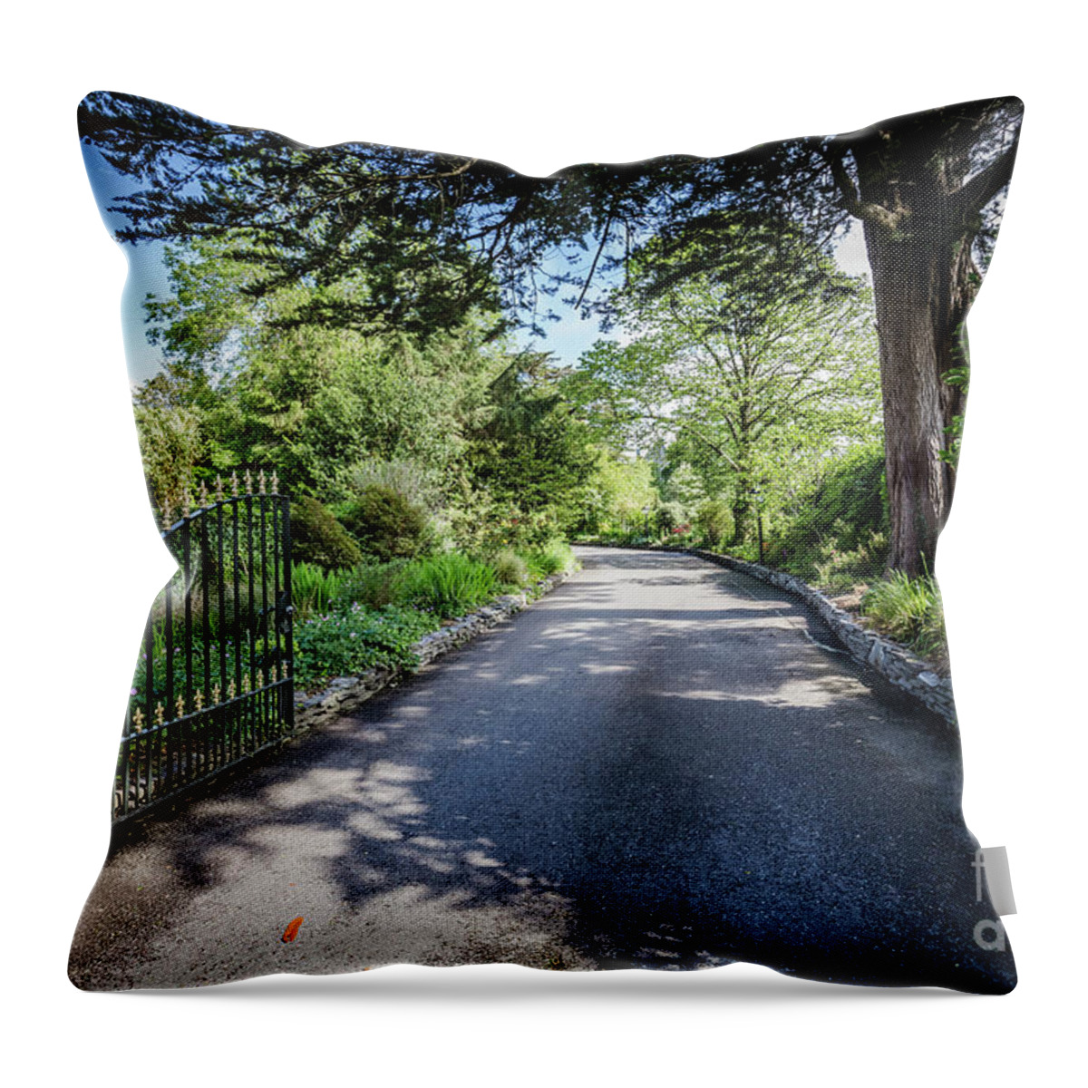 Kenmare Throw Pillow featuring the photograph Inviting by Eva Lechner