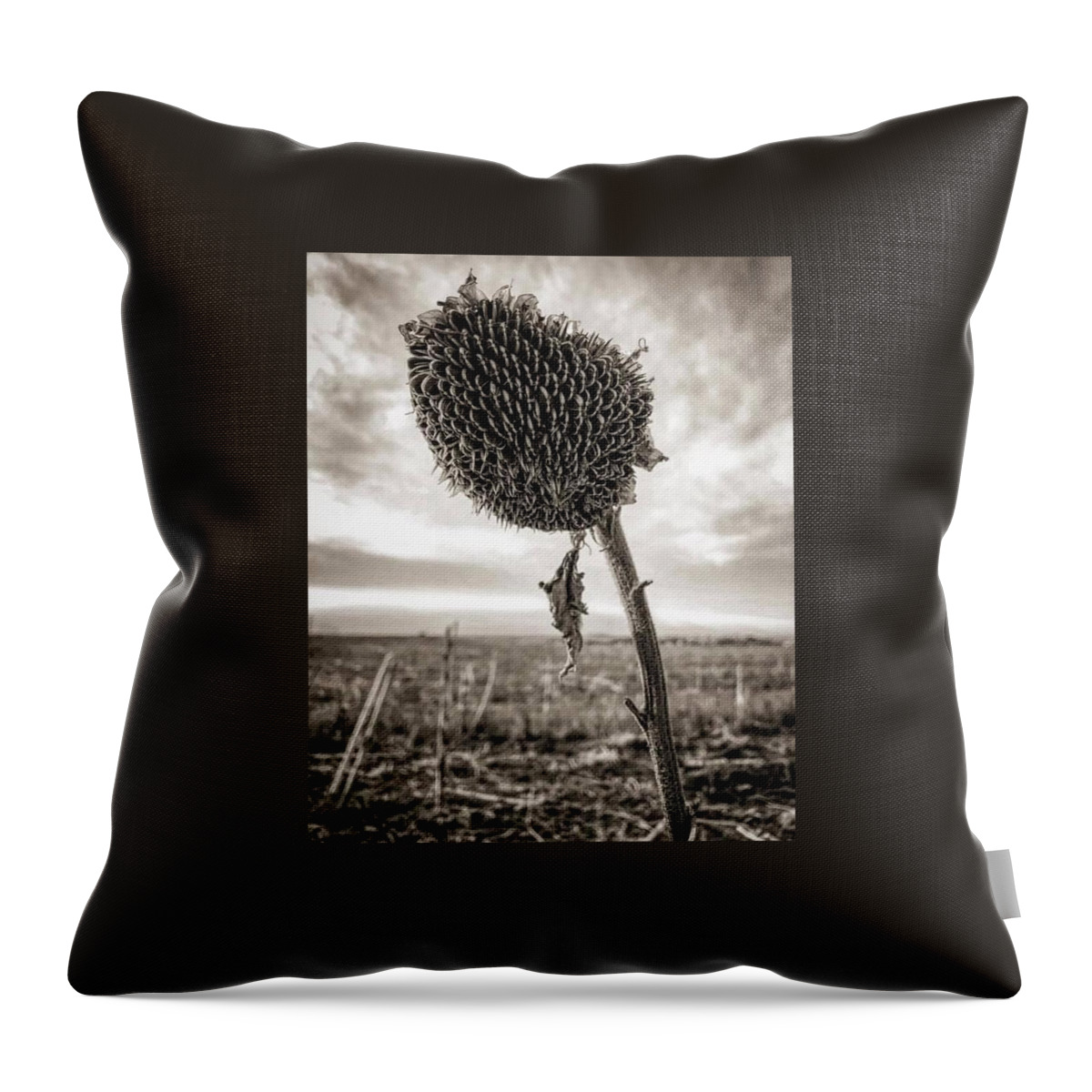 Iphonography Throw Pillow featuring the photograph iPhonography Sunflower 2 by Julie Powell