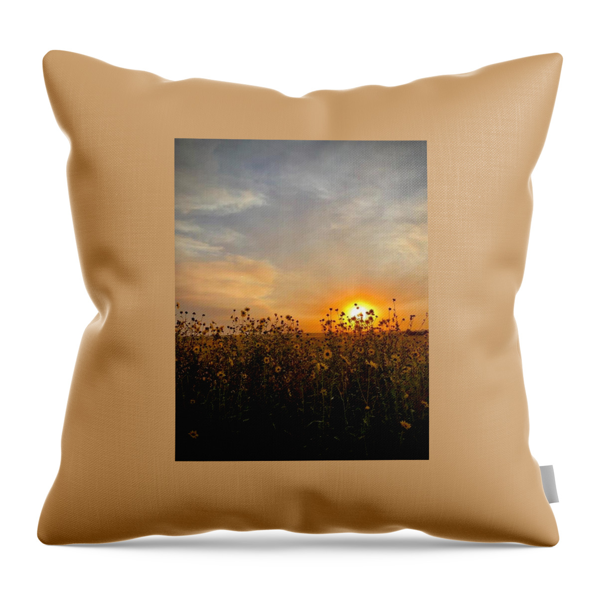 Iphonography Throw Pillow featuring the photograph iPhonography Sunset 3 by Julie Powell