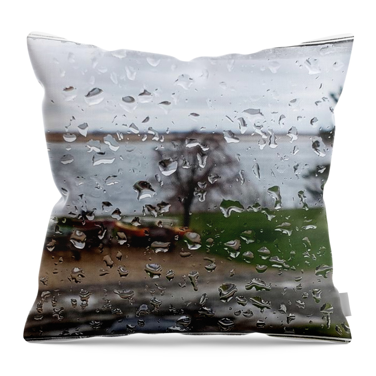  Throw Pillow featuring the photograph Ipswich Rain by Adam Green