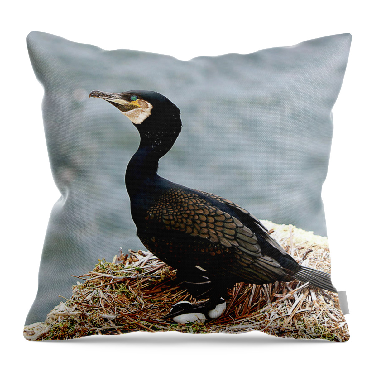  Throw Pillow featuring the photograph Ireland 22 by Eric Pengelly