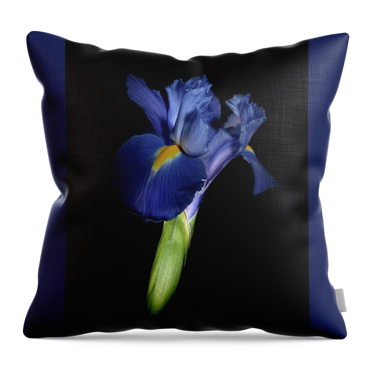 Macro Throw Pillow featuring the photograph Iris 041807 by Julie Powell