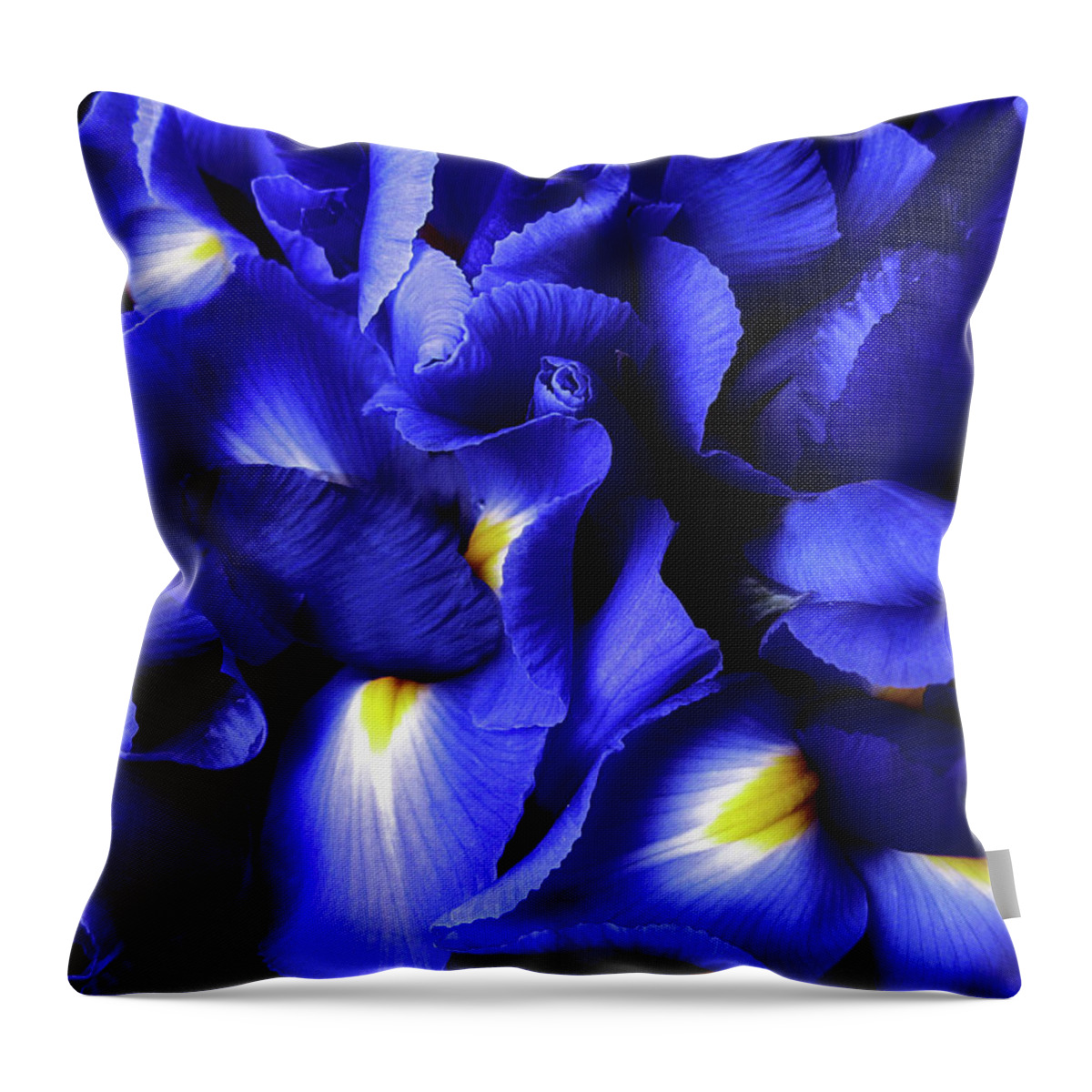  Iris Throw Pillow featuring the photograph Iris Abstract by Jessica Jenney