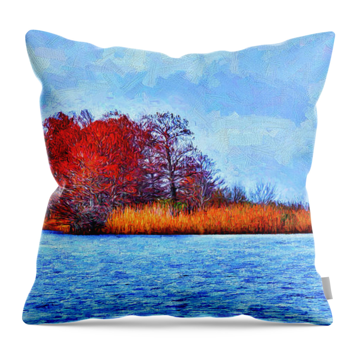 North Carolina Throw Pillow featuring the photograph Island of Color ap by Dan Carmichael