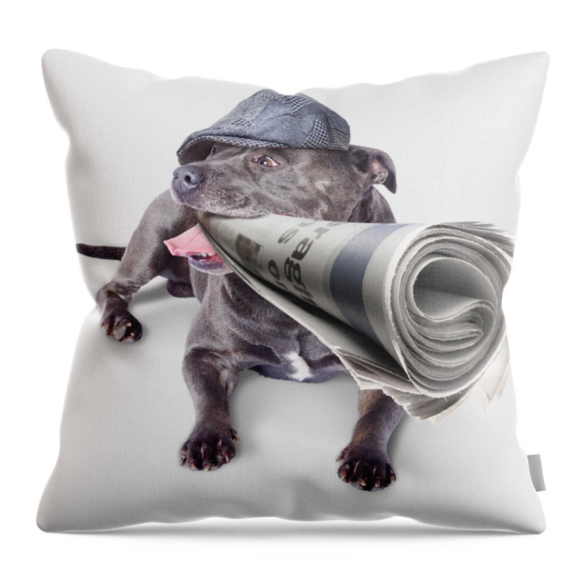 News Throw Pillow featuring the photograph Isolated newspaper dog carrying latest news by Jorgo Photography