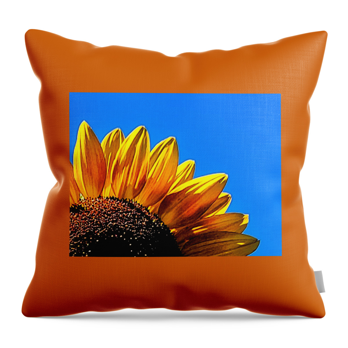 Sunflower Throw Pillow featuring the photograph It's a Good Day by Terry Ann Morris