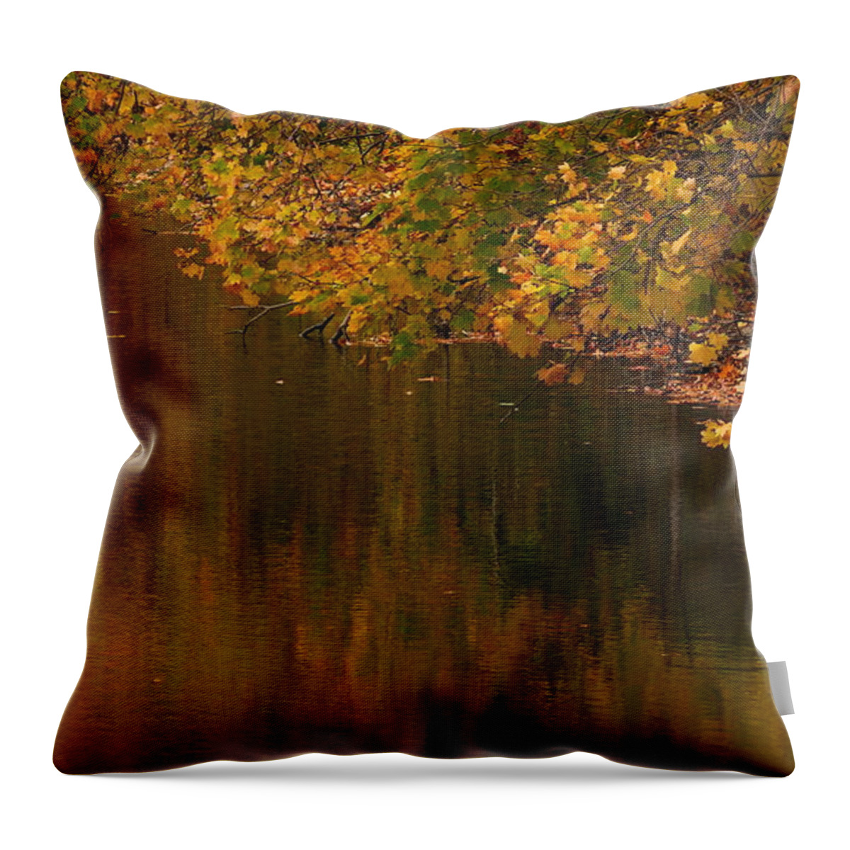 Reflection Throw Pillow featuring the photograph It's ALL in the Reflections by Tony Lee