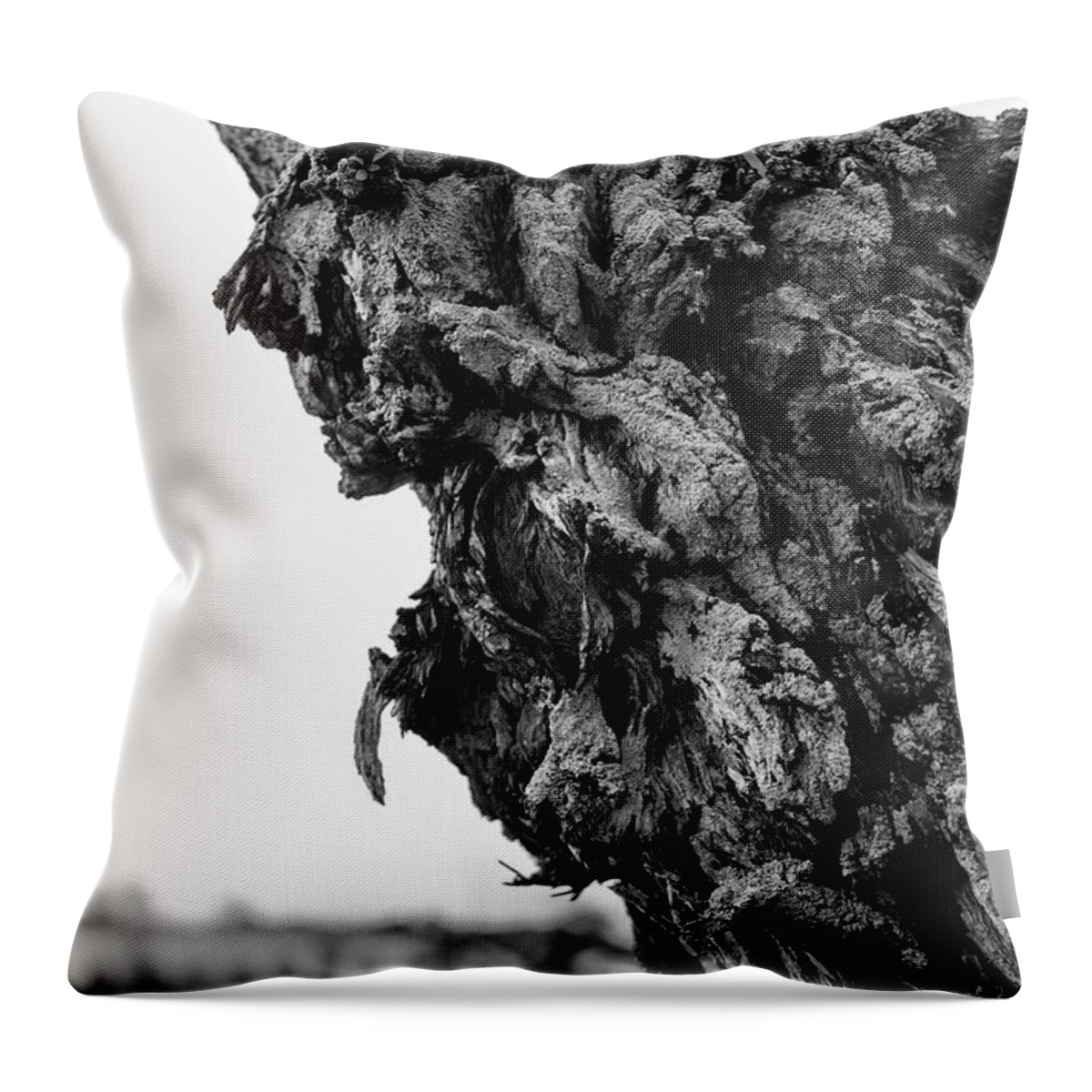 Tree Throw Pillow featuring the photograph Its Bark is Worse Then by Alan Goldberg