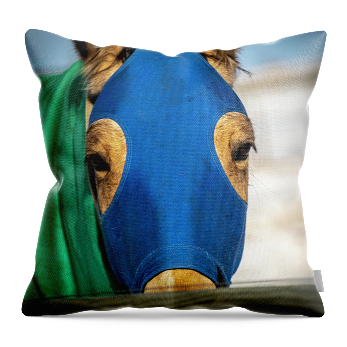 2022-01-16 Throw Pillow featuring the photograph It's Cold Outside by Phil And Karen Rispin