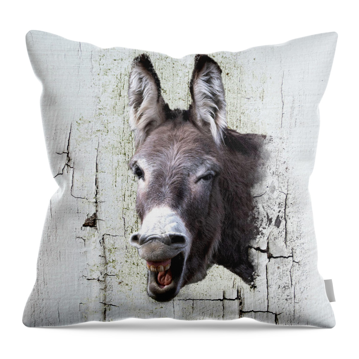 Fine Art Photography Throw Pillow featuring the photograph It's Jack by Mary Hone