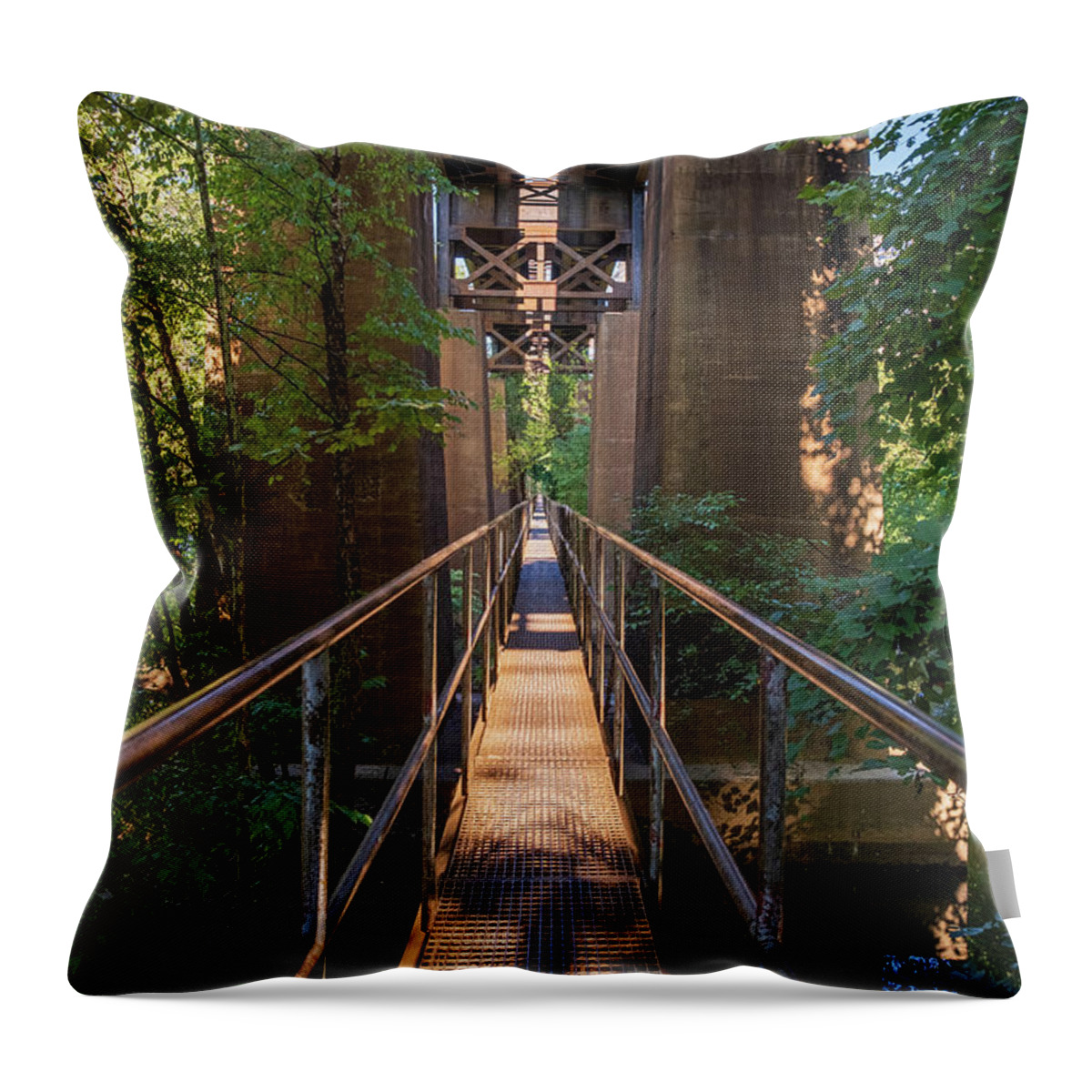 Richmond Throw Pillow featuring the photograph James River Pipeline by Doug Ash