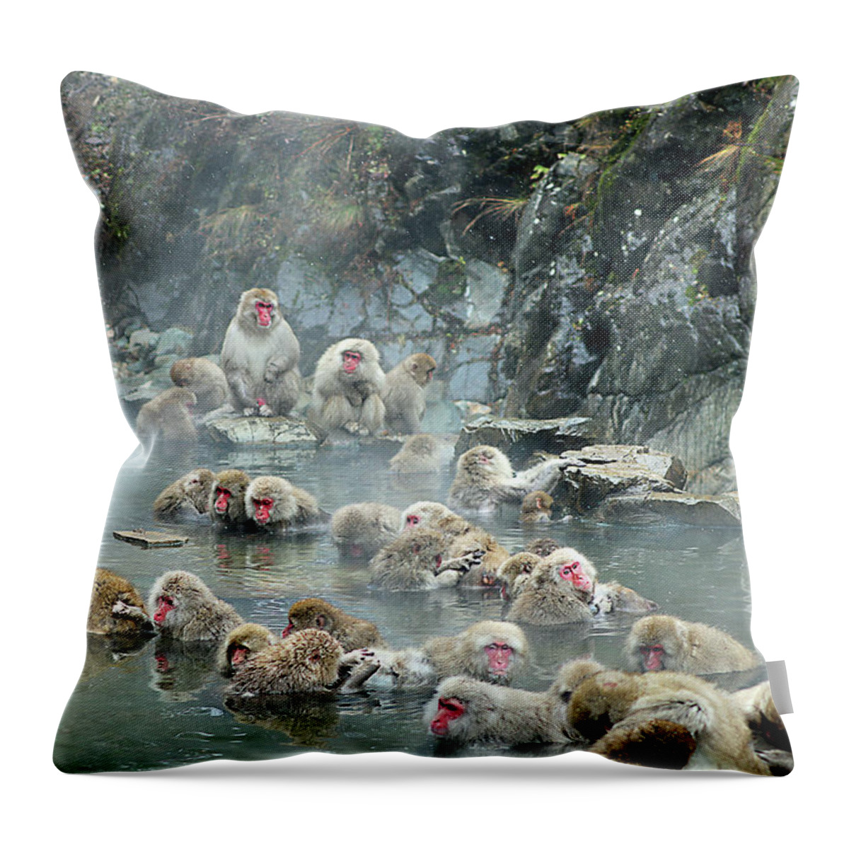  Throw Pillow featuring the photograph Japan 49 by Eric Pengelly