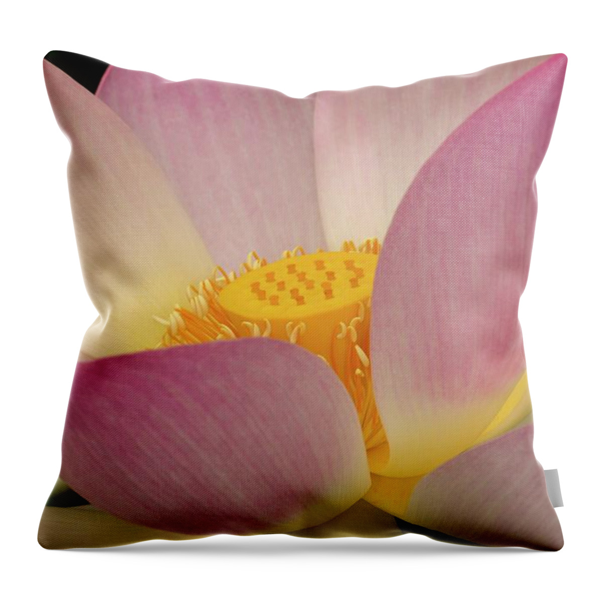 Flowering Throw Pillow featuring the photograph Japanese Lotus in Full Bloom by Liza Eckardt