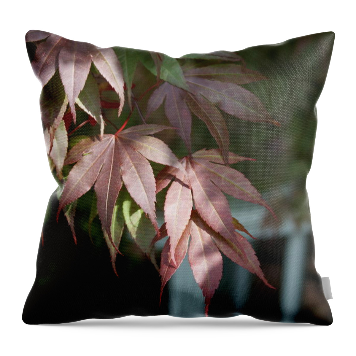  Throw Pillow featuring the photograph Japanese Maple by Heather E Harman
