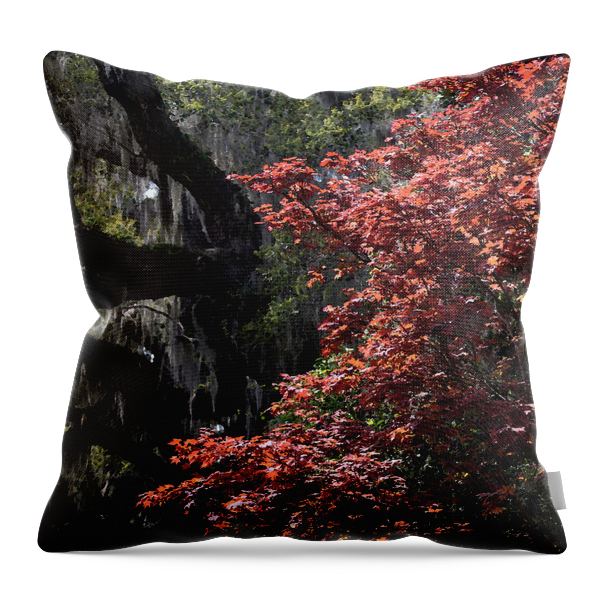 Photograph Throw Pillow featuring the photograph Japanese Red Maple in Watercolor by Suzanne Gaff