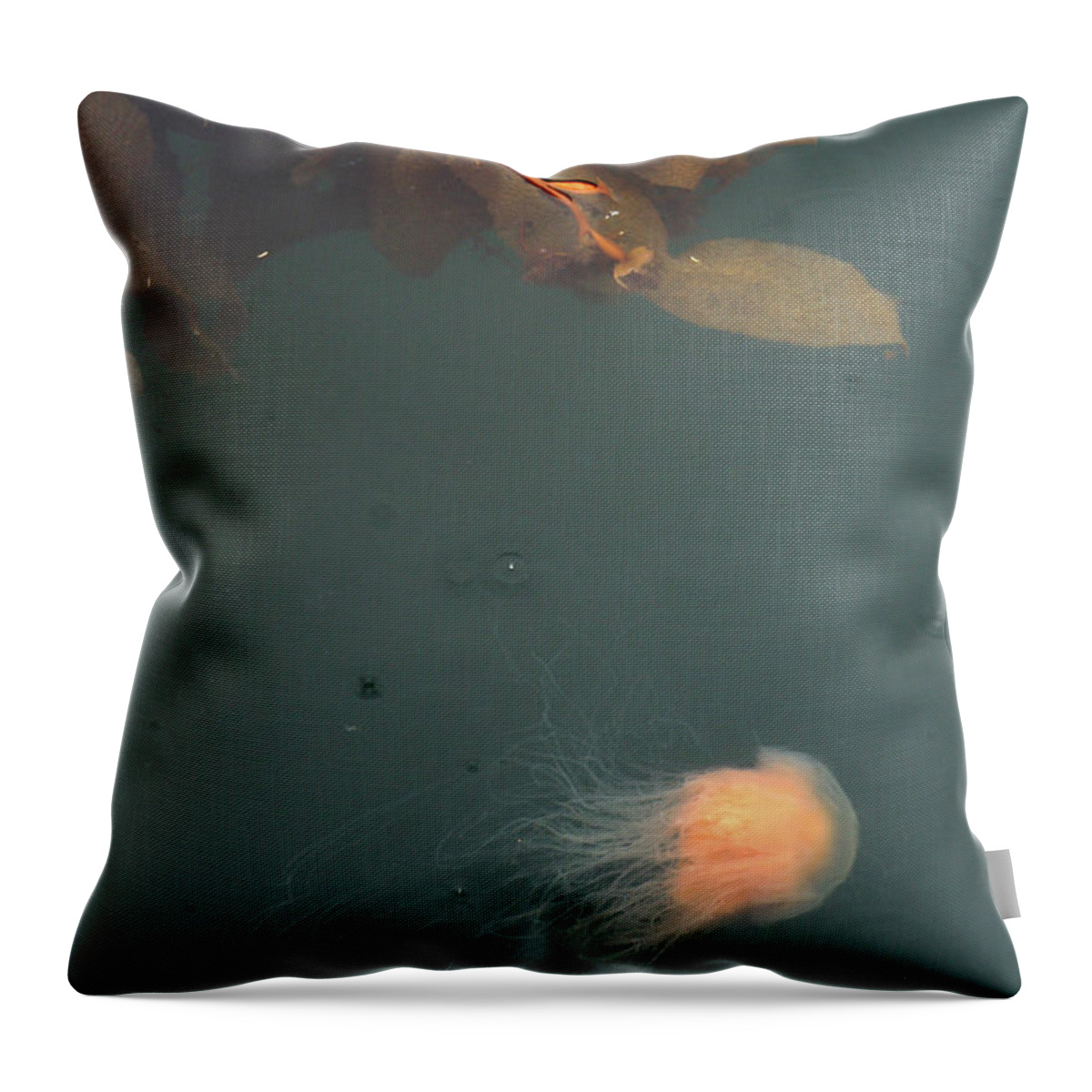 Sea Throw Pillow featuring the photograph Jellofish And The Seaweedsies Turn East by Kreddible Trout