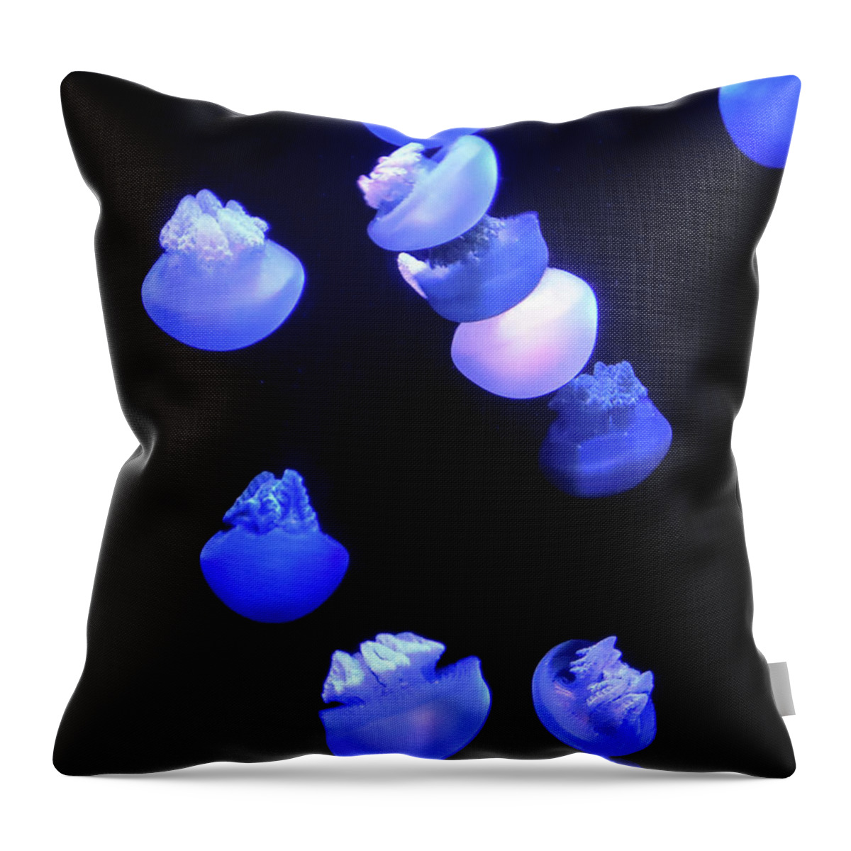 Marine Throw Pillow featuring the photograph Jellyfish by Lois Tomaszewski