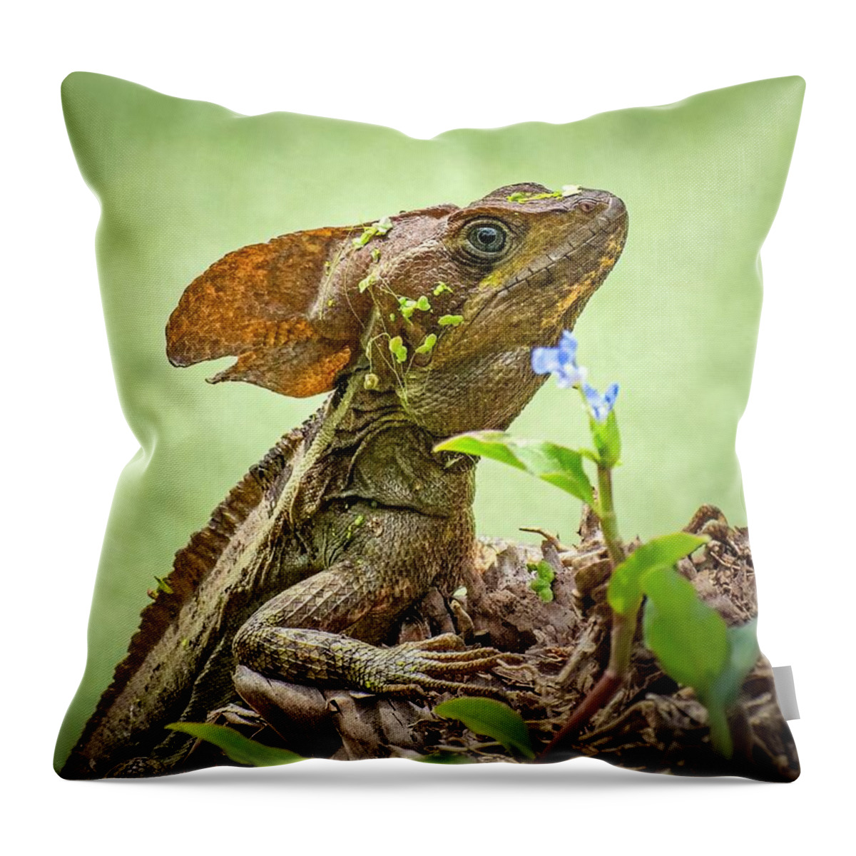 Jesus Christ Lizard Throw Pillow featuring the photograph Jesus Christ Lizard II by Rebecca Herranen