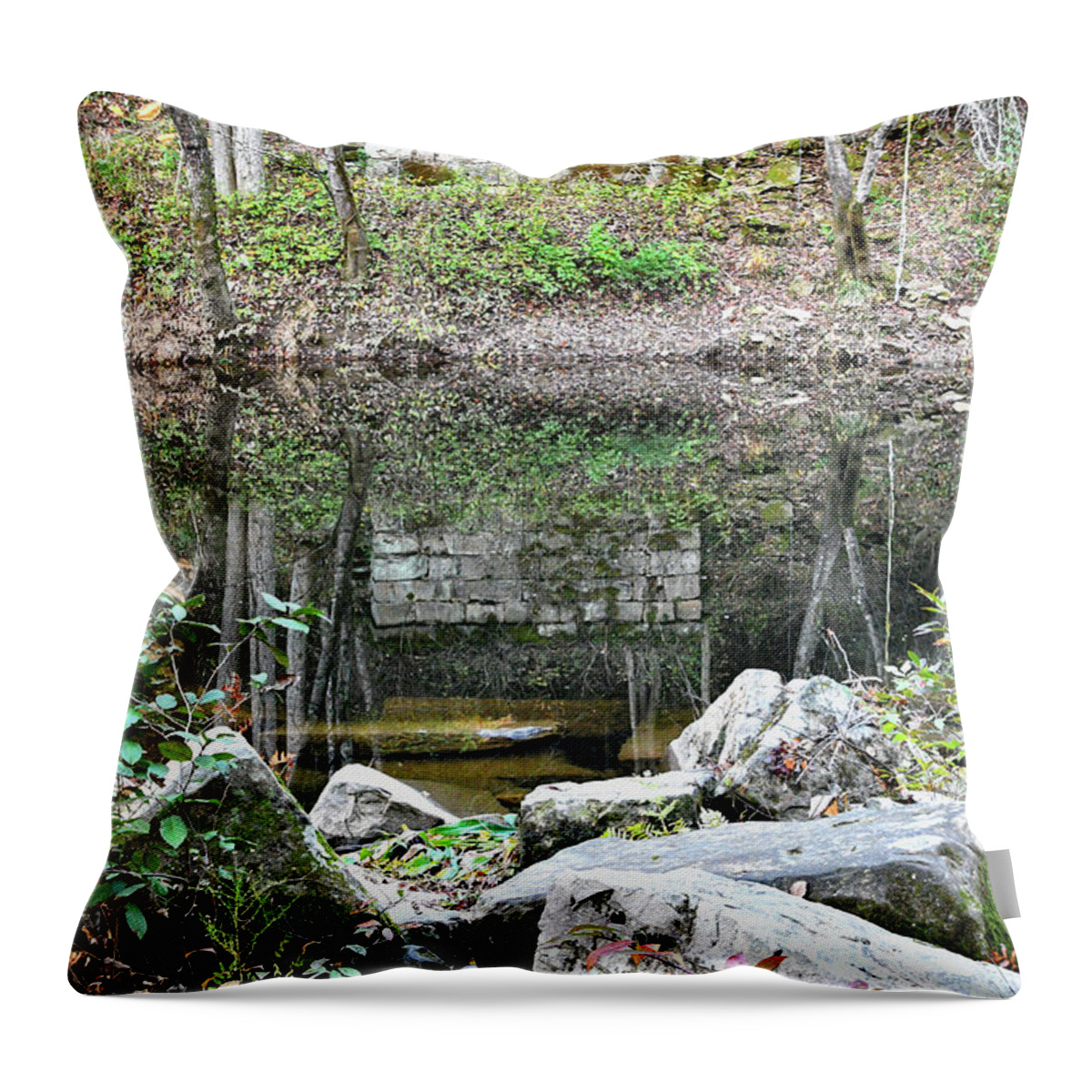 Tennessee Throw Pillow featuring the photograph Jett Bridge 5 by Phil Perkins