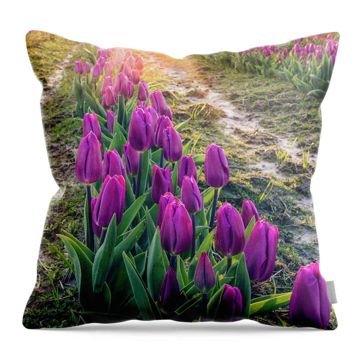 Tulips Throw Pillow featuring the photograph Jewel Tone Tulips by Michael Rauwolf