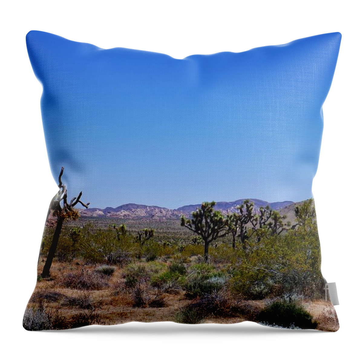 Joshua Tree Throw Pillow featuring the photograph Joshua Tree - Panorama Trail 2020 7 by Lee Antle