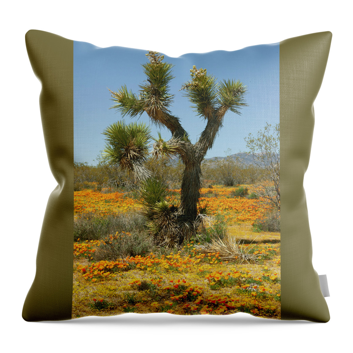 Mojave Desert Wildflowers Throw Pillow featuring the photograph Joshua Tree and Wildflowers in Mojave Desert by Ram Vasudev