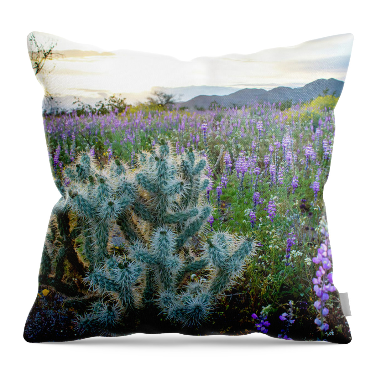 Grape Soda Lupine Throw Pillow featuring the photograph Joshua Tree Lupine Sunset by Kyle Hanson