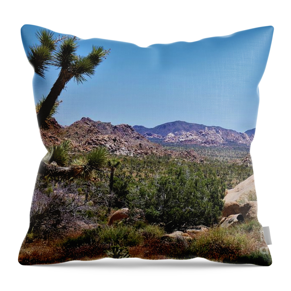 Joshua Tree Throw Pillow featuring the photograph Joshua Tree - Panorama Trail 2020 2 by Lee Antle