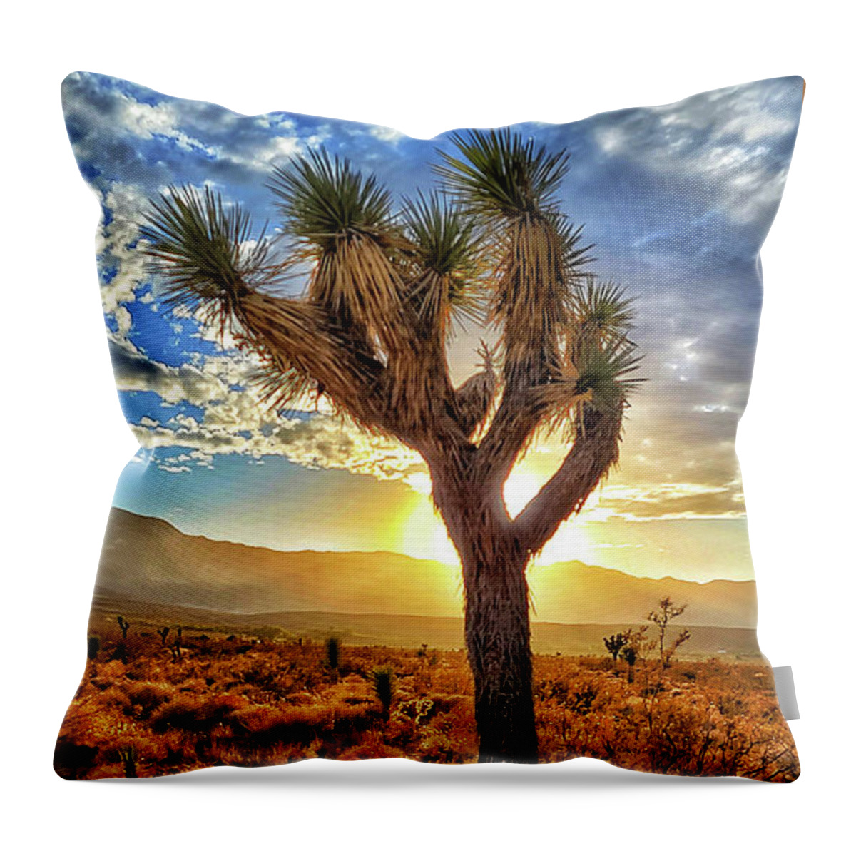 Sunset Throw Pillow featuring the photograph Joshua Tree Sun Blast by Chris Casas
