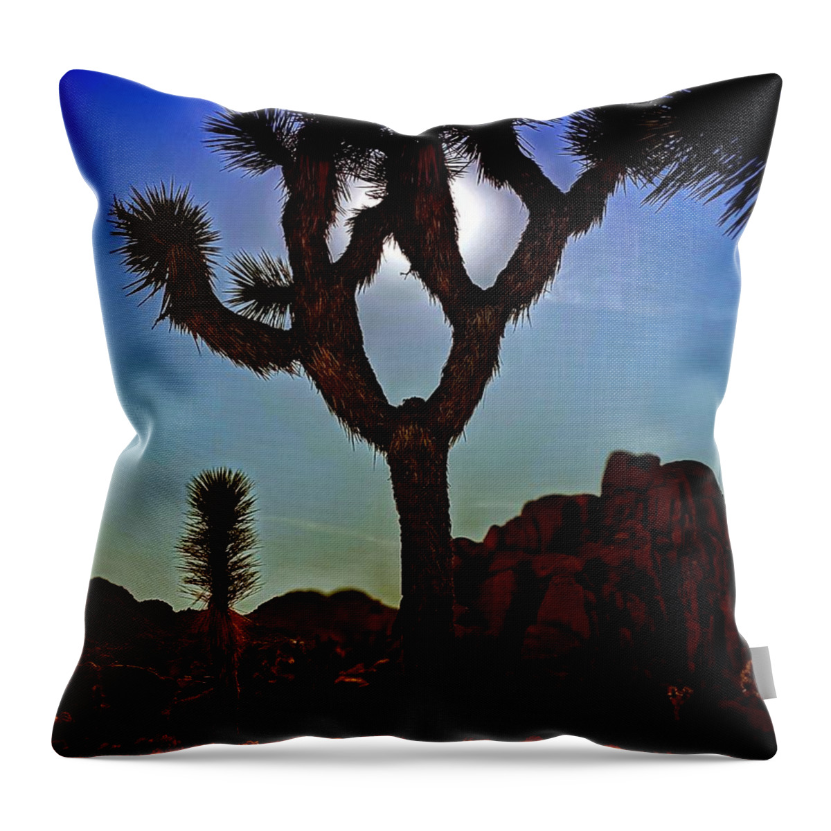 Joshua Tree Throw Pillow featuring the photograph Joshua Tree Sun by Dave Zumsteg
