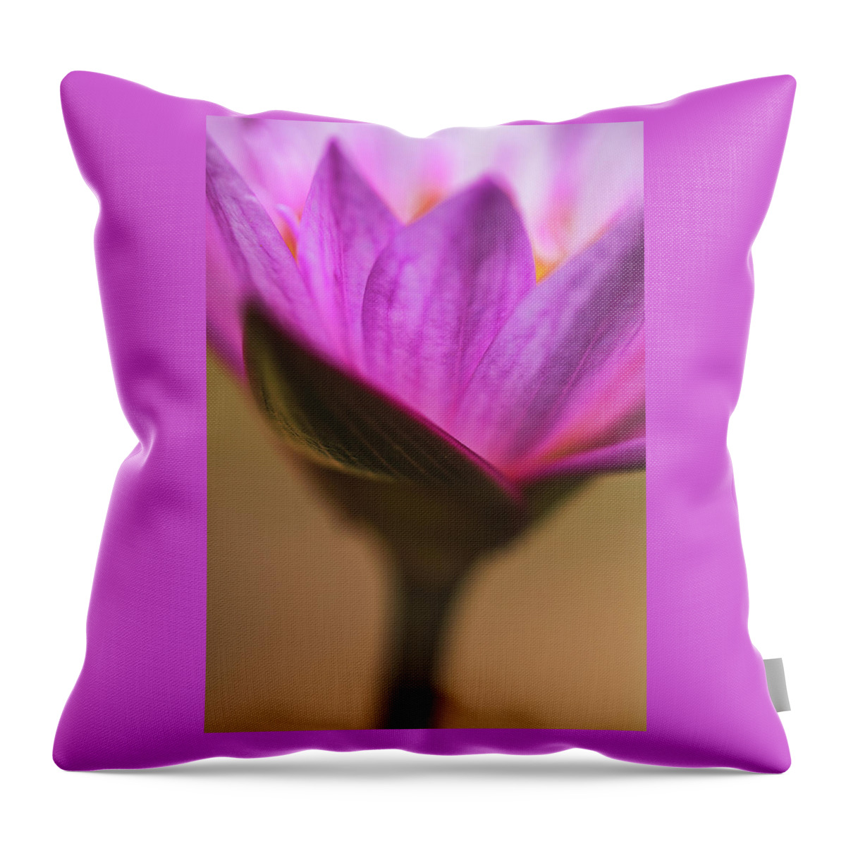 Flower Throw Pillow featuring the photograph Joy by Laura Roberts