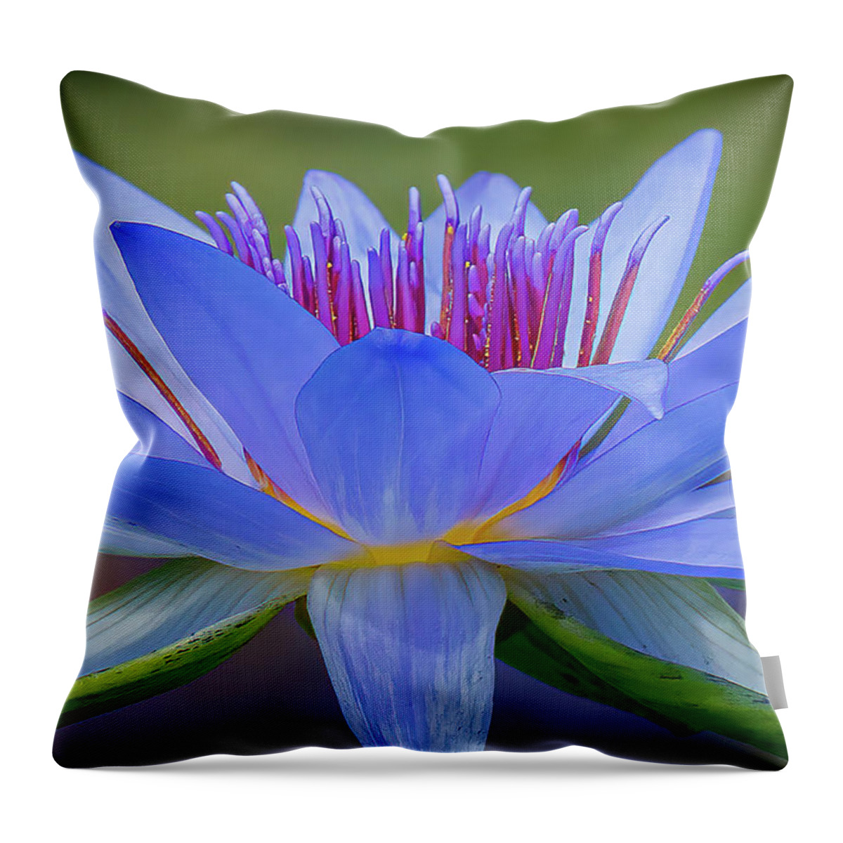 Flower Throw Pillow featuring the photograph Joy by Les Greenwood