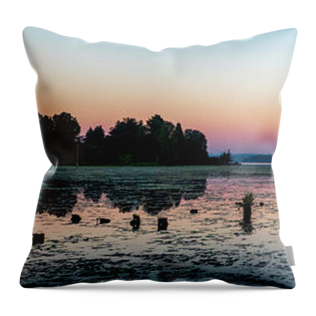 Juanita Bay Park Throw Pillow featuring the photograph Juanita Bay Sunrise by Larey McDaniel