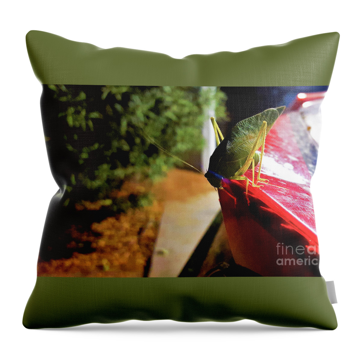Kadydid Throw Pillow featuring the photograph Jump Off Debate by Angela J Wright
