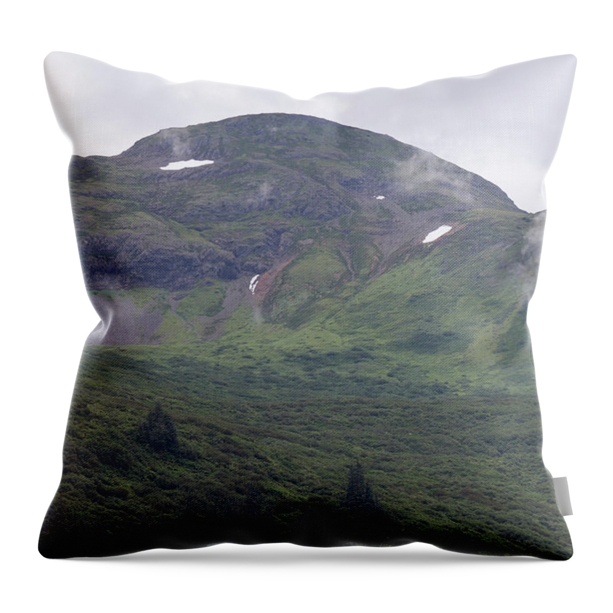 Alaska Throw Pillow featuring the photograph Juneau Elevated Greenery by Ed Williams