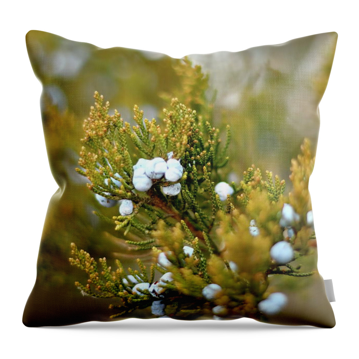 Juniper Throw Pillow featuring the photograph Juniper Berries by Lens Art Photography By Larry Trager