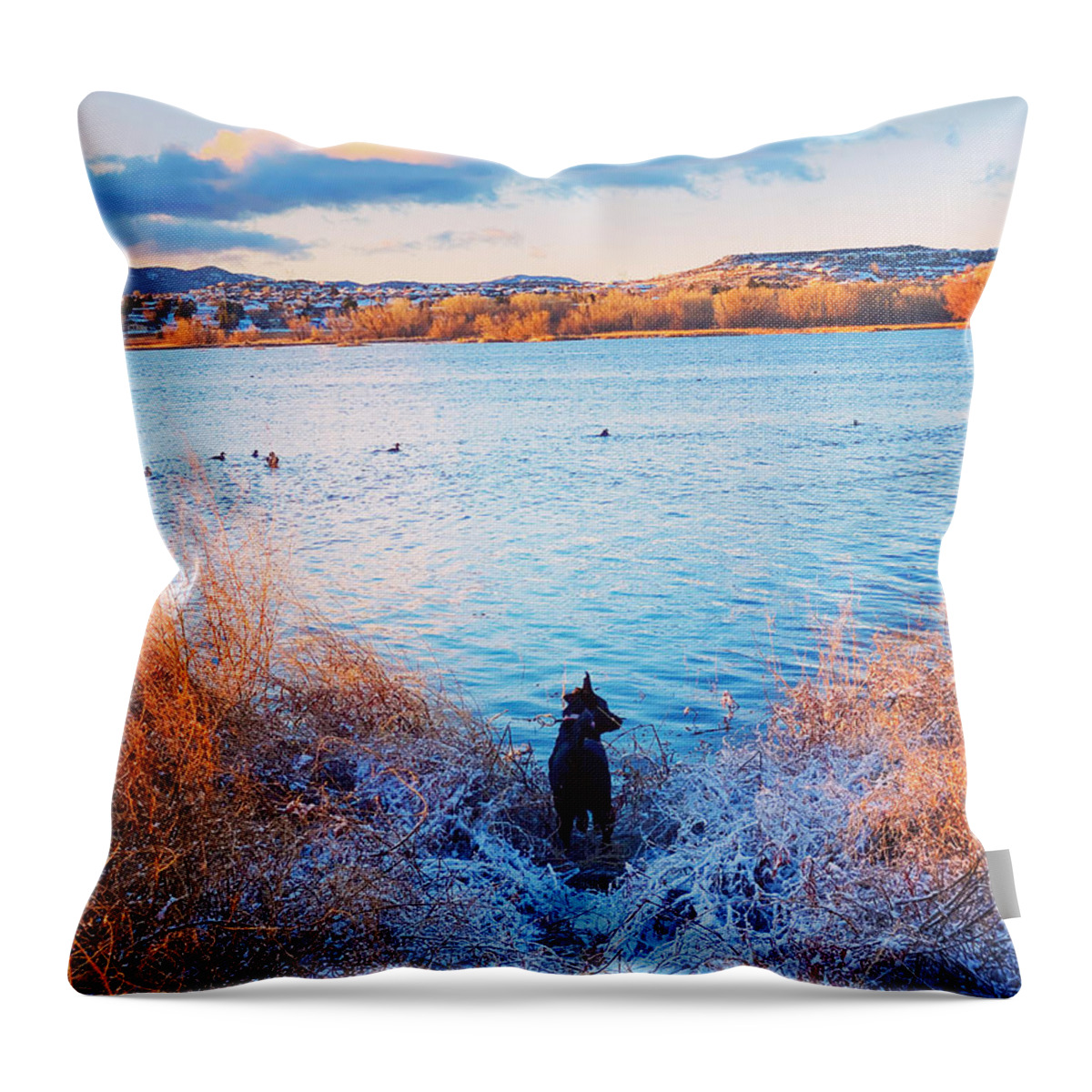  Throw Pillow featuring the photograph Just a dog at the lake by Rick Reesman