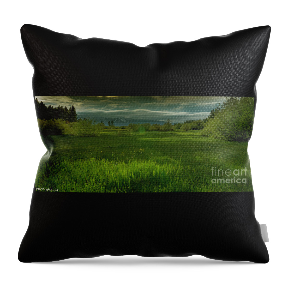 Mount Tallac California Throw Pillow featuring the photograph just after the storm, El Dorado National Forest, California by PROMedias US