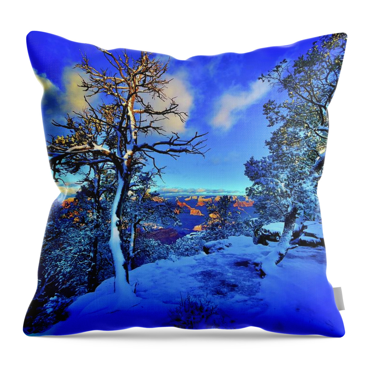 Landscape Throw Pillow featuring the photograph Just Beyond The Pines by Kevyn Bashore